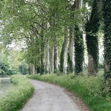 Σπίτι διακοπών La Coulee Douce - Chez Antoine Castelnaudary